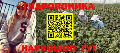 марихуана Абакан