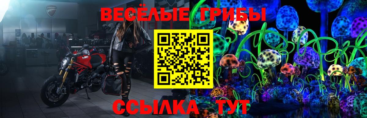 наркота  Галлюциногенные грибы Magic Shrooms  Псилоцибиновые грибы ЛСД  Вход с VPN  Апатиты 